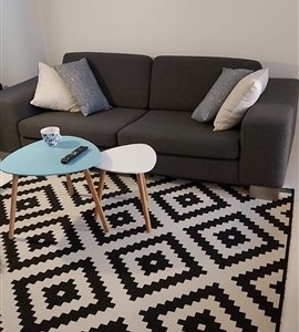 Værelse Big room in central Copenhagen (1 month - January)